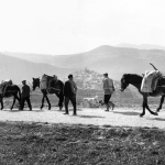 Lucania 60 - Ritorno dai campi